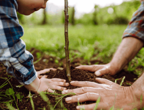 Memorial Ideas to Celebrate a Life Well Lived